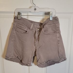 American Eagle Outfitters Purple Shorts